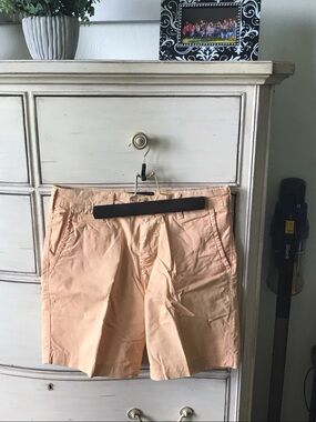 American Eagle Outfitters Peach Flat Front Men’s Shorts